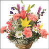 Nature Wealth - Click here to View more details about this Product